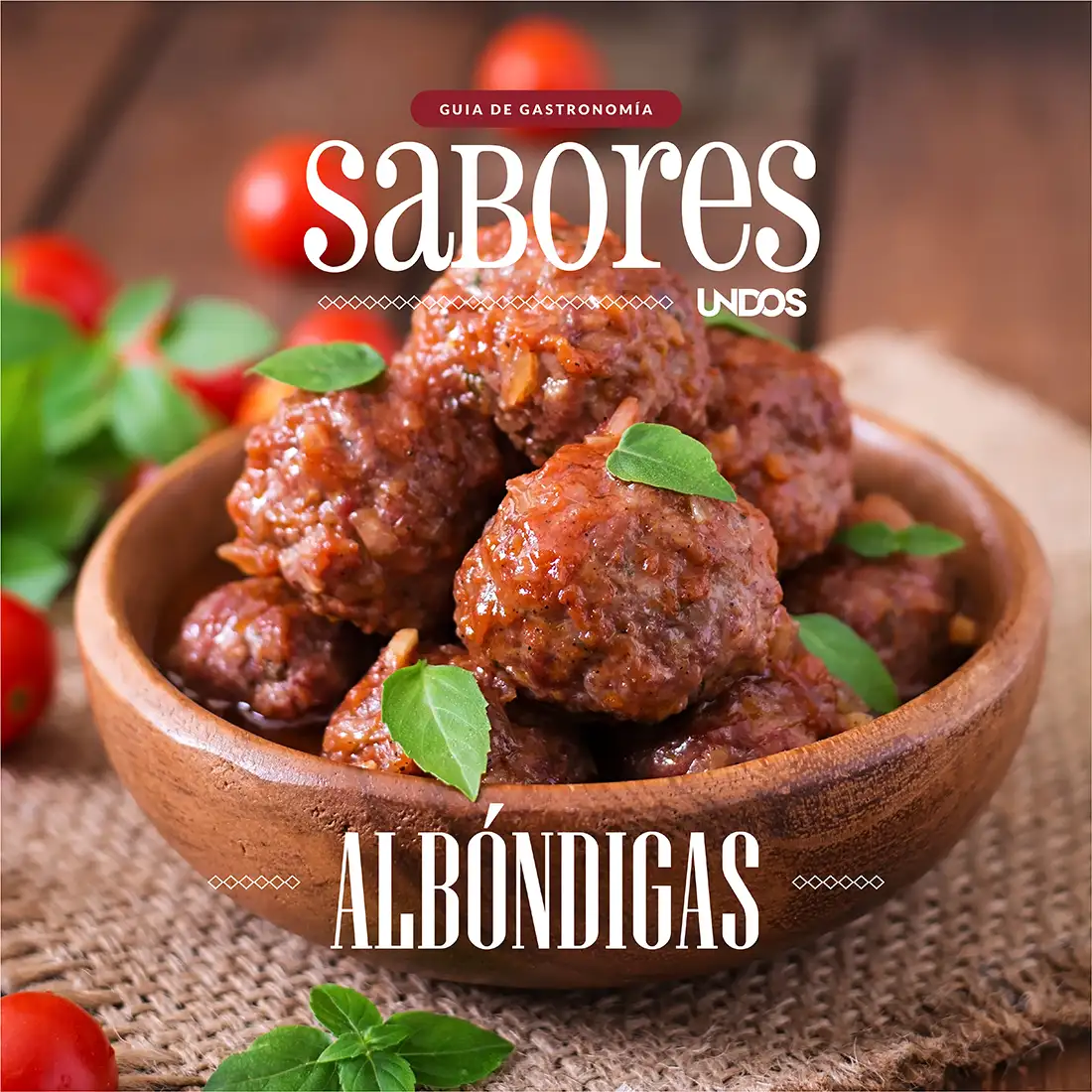 ALBONDIGAS copia