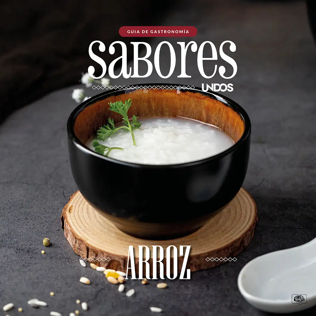 ARROZ copia