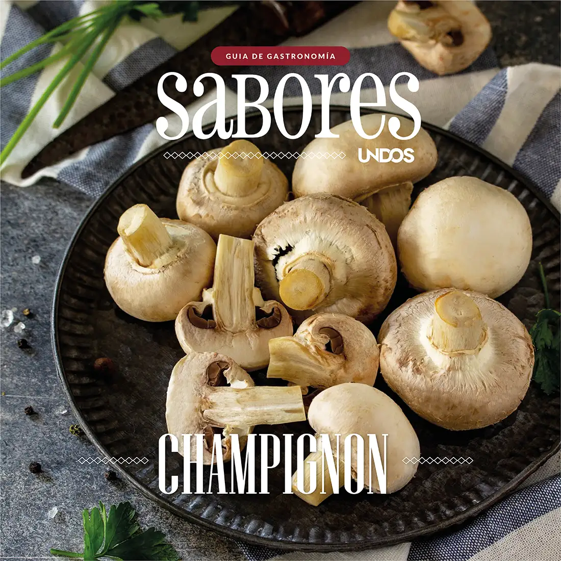 CHAMPIGNON copia