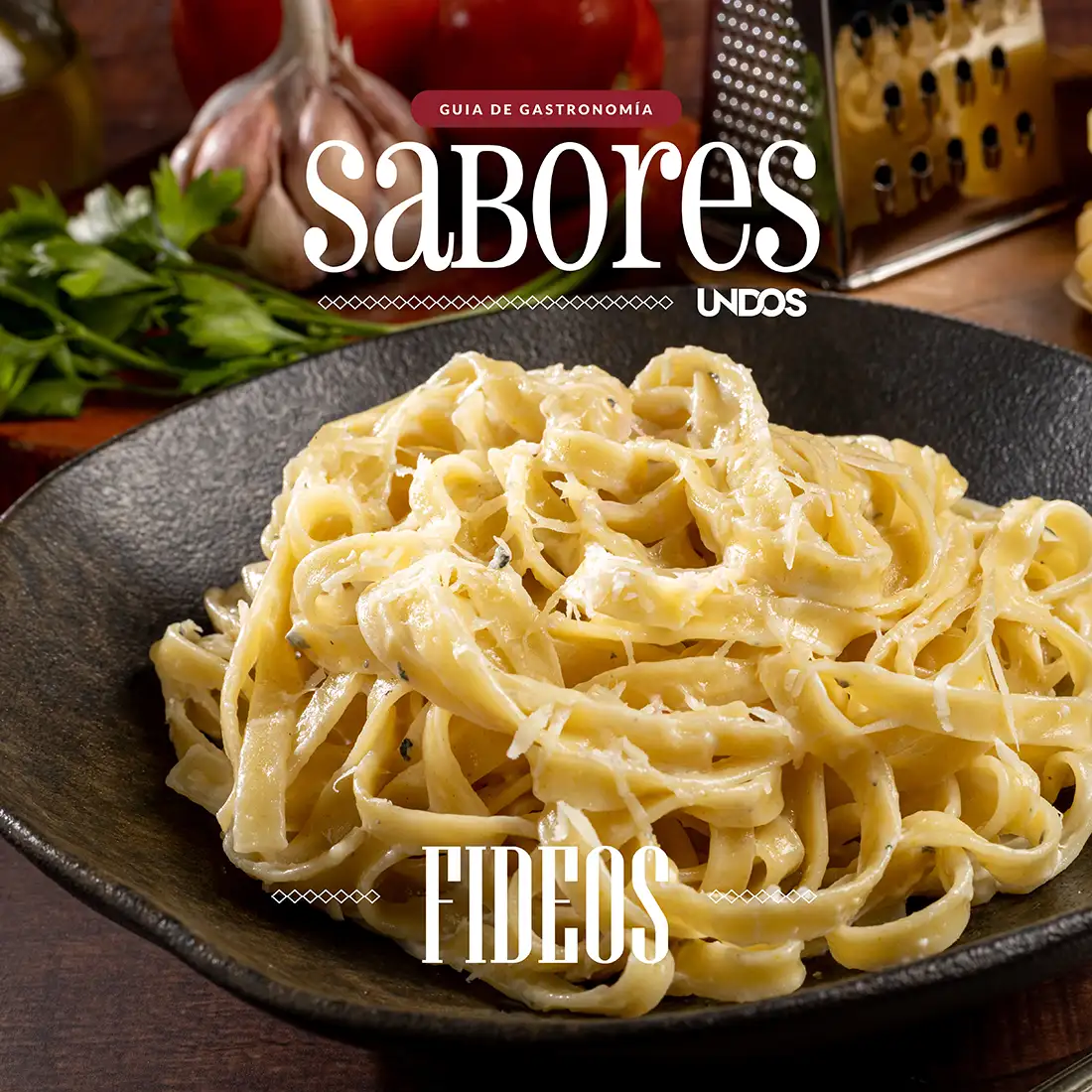 FIDEOS copia