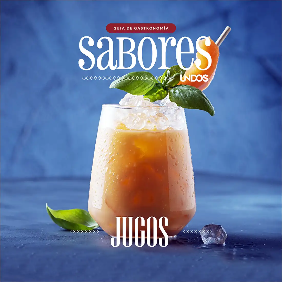 JUGOS copia
