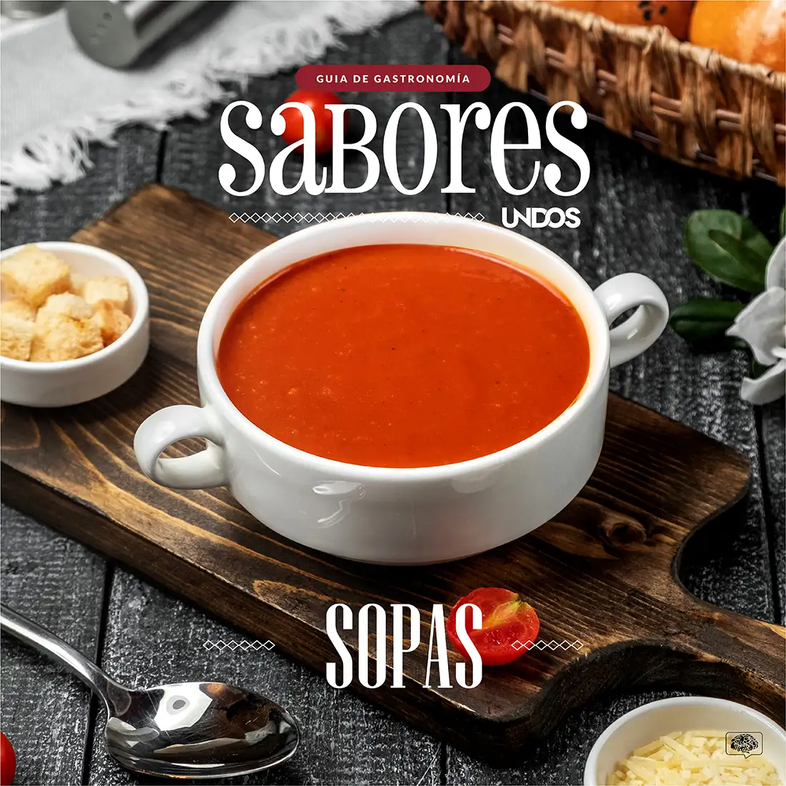 SOPA copia